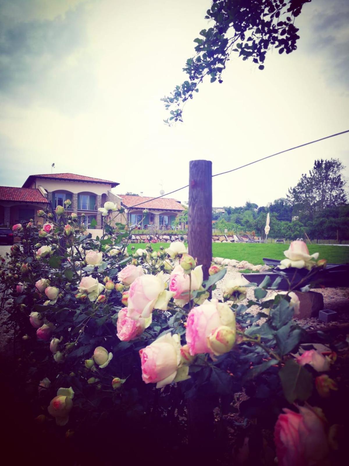 פסקיארה דל גארדה Orchidea Del Garda Rooms & Apartments מראה חיצוני תמונה